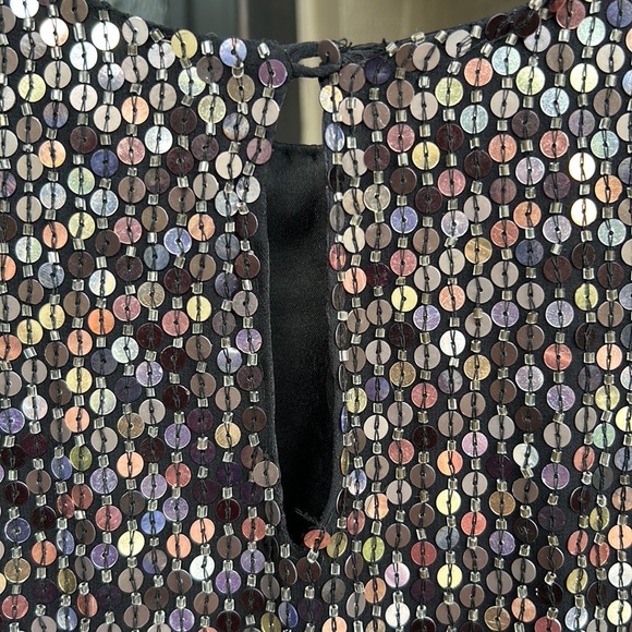 Size S Parker mini dress wth sequins - Picture 4 of 4